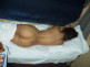 BDSM - ogłoszenie towarzyskie użytkownika koralina