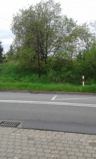 BDSM - ogłoszenie towarzyskie użytkownika sadoon
