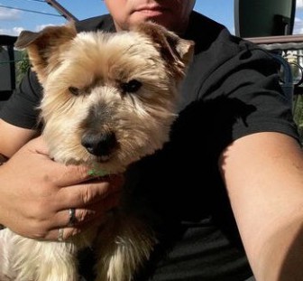 W ciąży - ogłoszenie towarzyskie użytkownika doggystyle