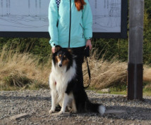 Rimming - ogłoszenie towarzyskie użytkownika Sherli