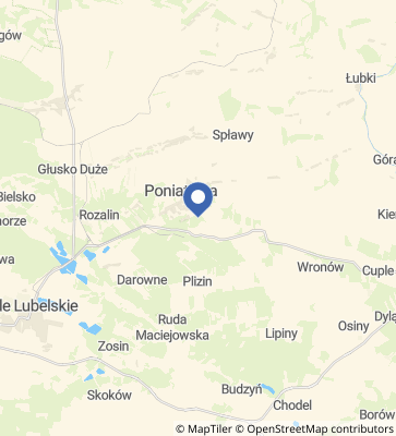 Kliknij aby otworzyć dynamiczną mapę.